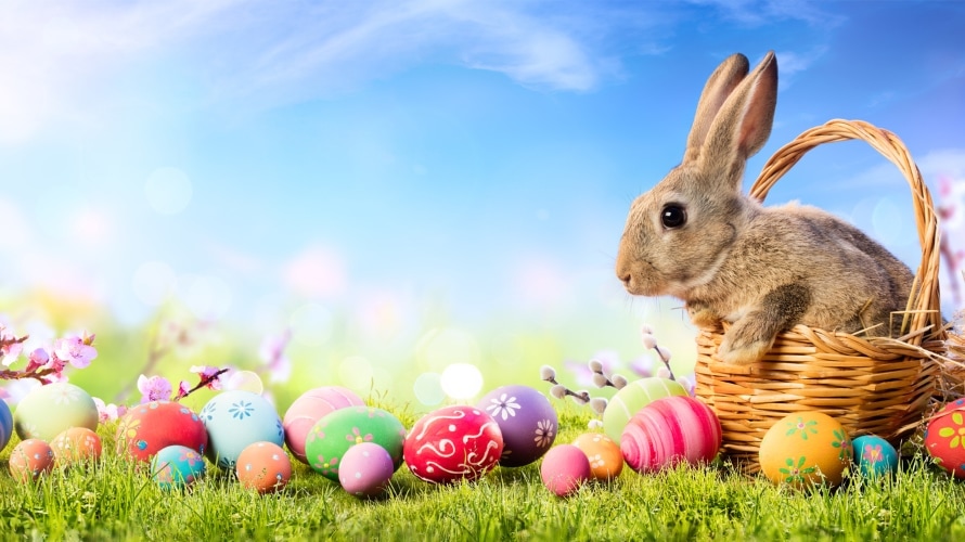 Image result for easter