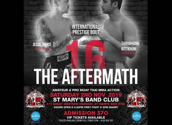 Next SRG Boxers in action Next SRG Boxers in action