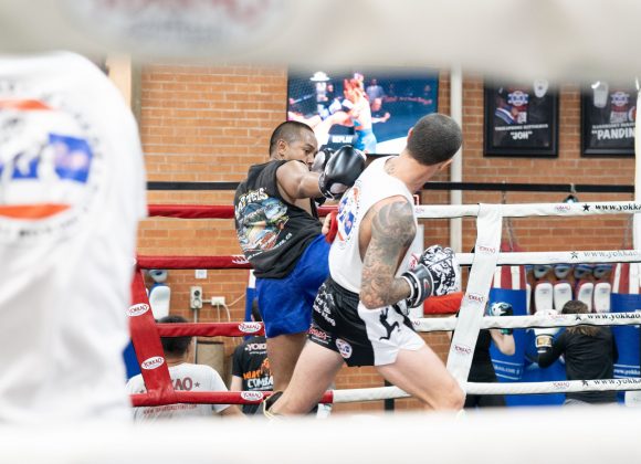 SRG Sparring Day SRG Sparring Day