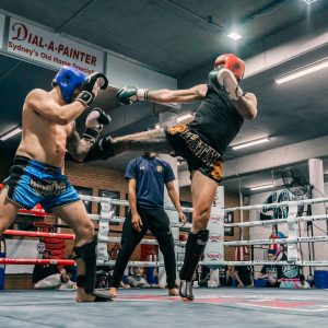 LAST SPARRING DAY OF THE YEAR (members only) LAST SPARRING DAY OF THE YEAR (members only)