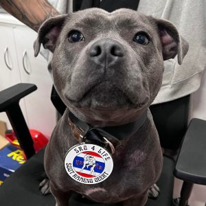 SRG4Life Sparring Day – 17/06/2023 SRG4Life Sparring Day – 17/06/2023